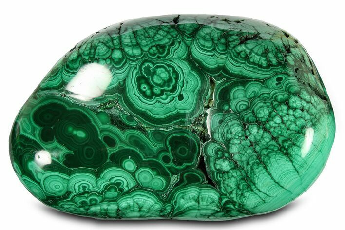 Flowery Polished Malachite Specimen - DR Congo #288203